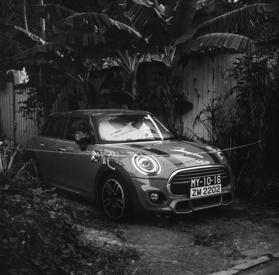 A car resting among plants in black and white
