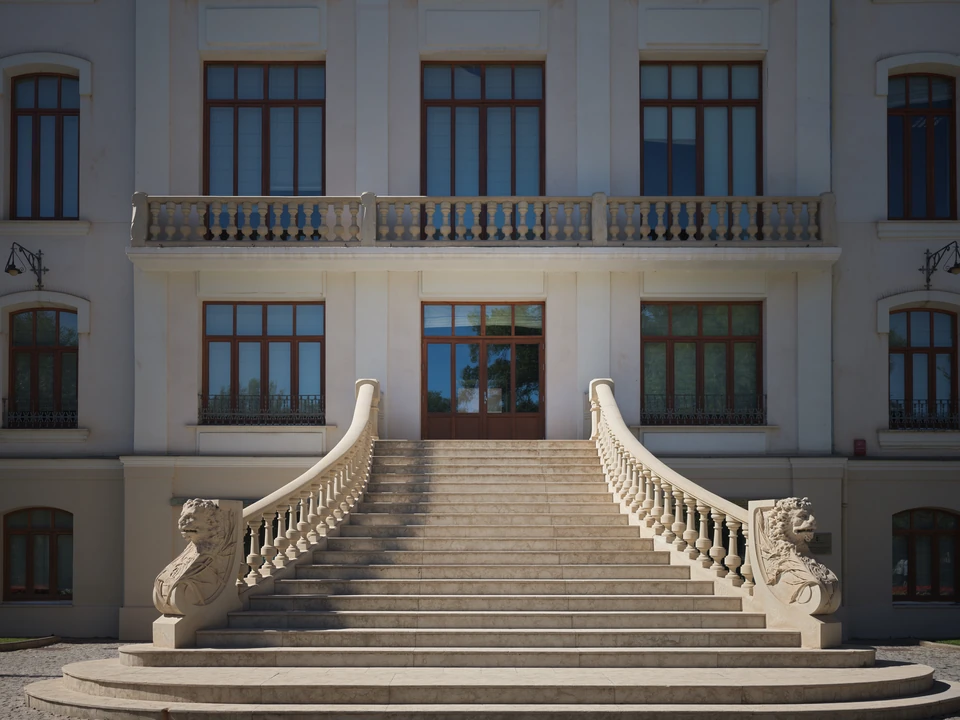 A white staircase and stone lions